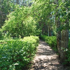 База отдыха Алмаз, Республика Башкортостан