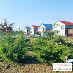 База отдыха Веселый Маныч, Веселовский район, Ростовская область