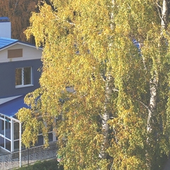 Загородный клуб Parshino, село Волковское, Свердловская область