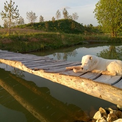 База отдыха и рыбалки Извозки, Гагаринский район, Смоленская область