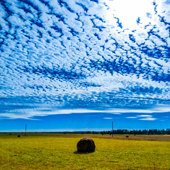 База отдыха и рыбалки Извозки, Гагаринский район, Смоленская область