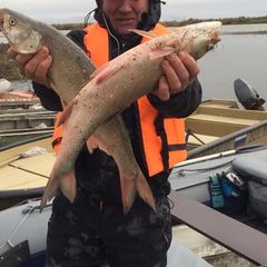 База отдыха Бушма, Зеленга, Астраханская область