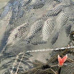 База отдыха Бушма, Зеленга, Астраханская область