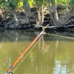 База отдыха Бушма, Зеленга, Астраханская область