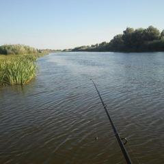 База отдыха Бушма, Зеленга, Астраханская область