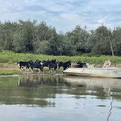 База отдыха Бушма, Зеленга, Астраханская область