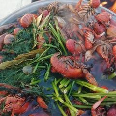 База отдыха Бушма, Зеленга, Астраханская область