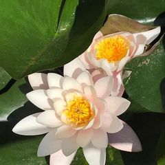 База отдыха Бушма, Зеленга, Астраханская область