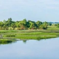 База отдыха Na-vazuzu, Сычевский район, Смоленская область