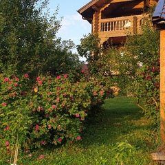 Загородная база отдыха Отдых у Иваныча, Можайск, Московская область