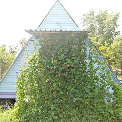 База отдыха Гуси-лебеди, Гуселетово, Алтайский край