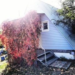 База отдыха Гуси-лебеди, Гуселетово, Алтайский край