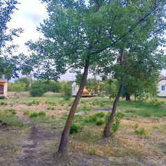 База отдыха РыбачОК, Городищенский район, Волгоградская область