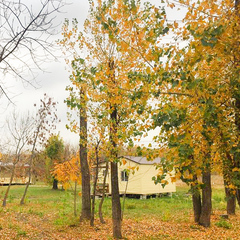 База отдыха РыбачОК, Городищенский район, Волгоградская область