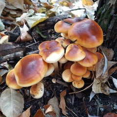 База отдыха РыбачОК, Городищенский район, Волгоградская область