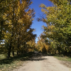 База отдыха РыбачОК, Городищенский район, Волгоградская область