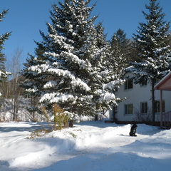 Санаторий Горноводное, Приморский край