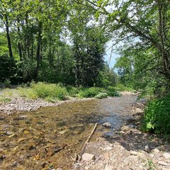 Санаторий Горноводное, Приморский край