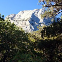 База отдыха Янос, Севастополь, Крым