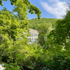 Санаторий Октябрьское ущелье, Саратов, Саратовская область