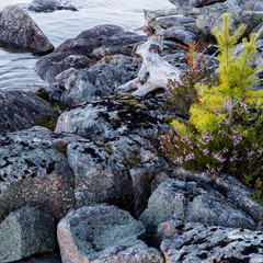 База отдыха Коккосалма, Лоухский район, Республика Карелия