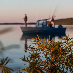 База отдыха Коккосалма, Лоухский район, Республика Карелия