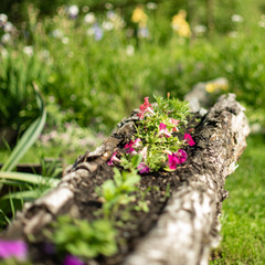 Усадьба СветочЪ, Курьинский район, Алтайский край