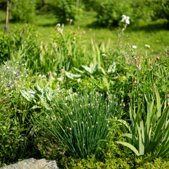 Усадьба СветочЪ, Курьинский район, Алтайский край