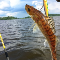 База отдыха NaVolgo, Селижаровский район, Тверская область