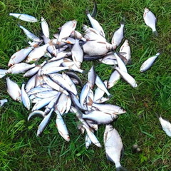 База отдыха NaVolgo, Селижаровский район, Тверская область