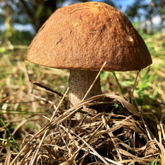 База отдыха NaVolgo, Селижаровский район, Тверская область