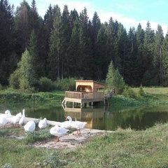 База отдыха Марийская швейцария, Республика Марий Эл