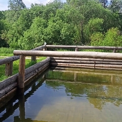 База отдыха Марийская швейцария, Республика Марий Эл