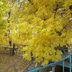 База отдыха Рыбак, Камызякский район, Астраханская область