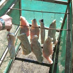 База отдыха Рыбак, Камызякский район, Астраханская область