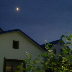 Гостевое подворье Аврора-Дельта, Астраханская область