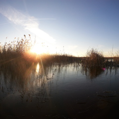 Гостевое подворье Аврора-Дельта, Астраханская область