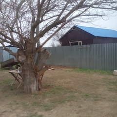 Гостевое подворье Аврора-Дельта, Астраханская область