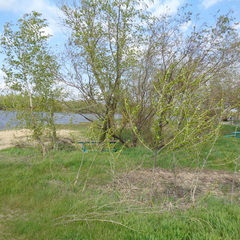 Кемпинг  У Фёдоровича, Иловлинский район, Волгоградская область