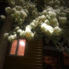 База отдыха Мечта, Архыз, Республика Карачаево-Черкесия