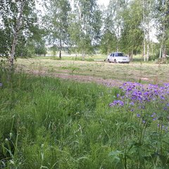 Кемпинг  «Мышгород» Город Мастеров, Мышкинский район, Ярославская область