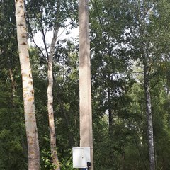 Кемпинг  «Мышгород» Город Мастеров, Мышкинский район, Ярославская область