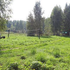 Кемпинг  «Мышгород» Город Мастеров, Мышкинский район, Ярославская область