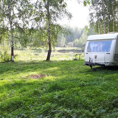 Кемпинг  «Мышгород» Город Мастеров, Мышкинский район, Ярославская область