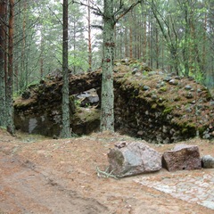 База отдыха Коттеджи на Бурной, Приозерский район, Ленинградская область
