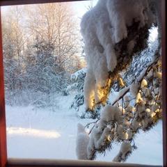 База отдыха Заимка Остров, Торопецкий район, Тверская область