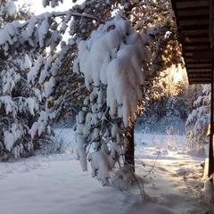 База отдыха Заимка Остров, Торопецкий район, Тверская область