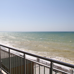 База отдыха Южная, Николаевка, Крым