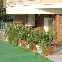 База отдыха Южная, Николаевка, Крым