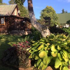 Гостевой дом Домик у озера, Валдай, Новгородская область
